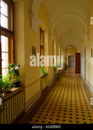 Detail von einem inneren Flur des Fachbereichs Philosophie an der Jagiellonen-Universität in Krakau, Polen. Stockfoto