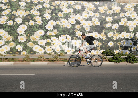 Ein Fahrradfahrer vorbei ein riesiges Plakat Poster Darstellung Blumenwiese im Zentrum von Tel Aviv Israel Stockfoto