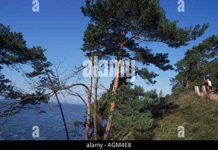 Landschaft, Halbinsel Gnitz, Insel Usedom, Mecklenburg-Vorpommern, Deutschland Stockfoto