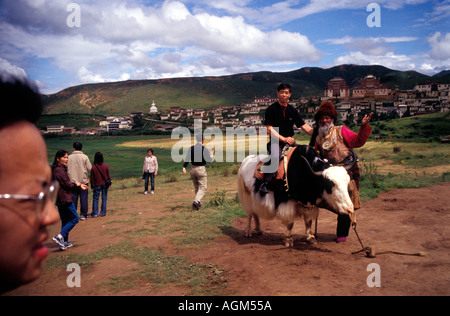 Chinesische Touristen posieren für ein Bild mit tibetischen Hirten und Yak im Zhongdian County, Provinz Yunnan, China. Stockfoto