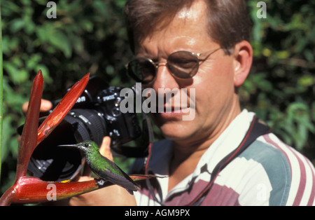 Costa Rica, Monte Verde, Fotograf Frans Lemmens unter Bild der Grünen gekrönt Brillante Kolibri, Heliothryx Barro Stockfoto