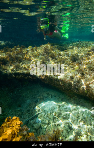 Frau Schnorcheln Freediving Swimming Hole Cay Sal Bank Bahamas-Inseln Stockfoto