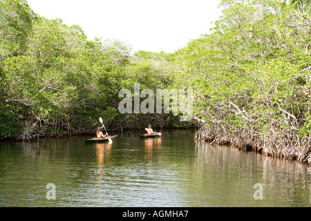 Kajakfahren in hidey Loch namens Hidden Lake von einheimischen Frauen in der Nähe von Key Largo Florida Stockfoto