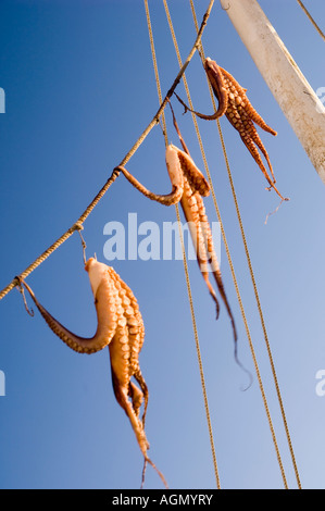 Drei Kraken trocknen in der Sonne durch den Strang aus der Takelage eines kleinen Bootes am Ende des alten Hafens in Mykonos, Griechenland. Stockfoto