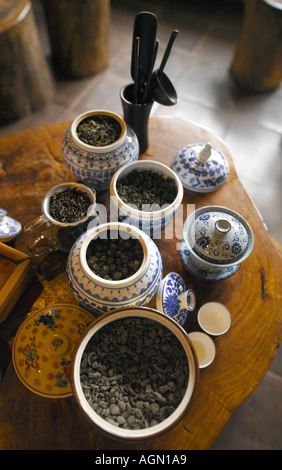 Auswahl des chinesischen Tees in einem Haus in der Region Guilin, China Stockfoto