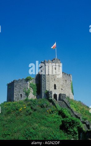 Walisische Flagge von Norman Keep in Cardiff Schloß Cardiff South Glamorgan South Wales GB UK EU Europa Stockfoto