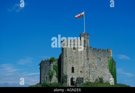 Walisische Flagge von Norman Keep in Cardiff Schloß Cardiff South Glamorgan South Wales GB UK EU Europa Stockfoto