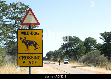 Hwange Nationalpark, Simbabwe Stockfoto