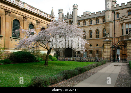 Eingang von Clare College, Cambridge, England. Stockfoto