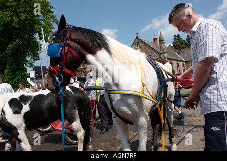 Appleby Horse Fair 2006 Stockfoto