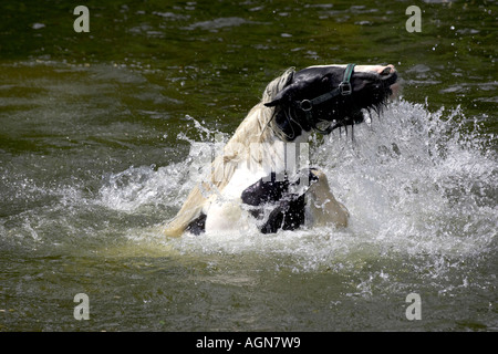 Appleby Horse Fair 2006 Stockfoto