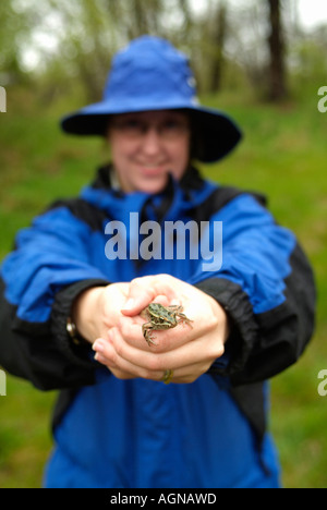 Frau mit einem nördlichen Leopard Frog Rana Pipiens auch so genannte Wiese oder Grasfrosch Stockfoto