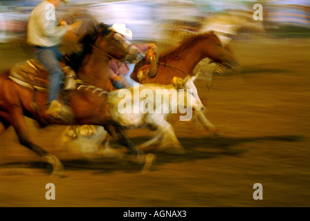 Rodeo in Mandan North Dakota Stockfoto