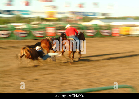 Rodeo in Mandan North Dakota Stockfoto