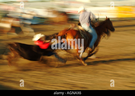 Rodeo in Mandan North Dakota Stockfoto