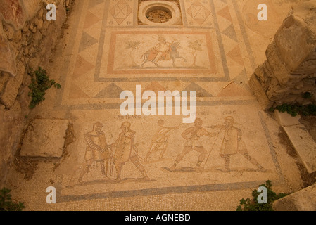 dh Western archäologische KOS Stadt Griechenland KOS Western archäologische Stätte römischen Gladiatoren Mosaik gefliesten Böden Stockfoto