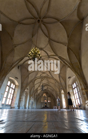 Gewölbte Decke und Barock Stil Tapete im Flur mit grünen Spalte