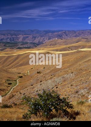 SEMI ariden Landschaft von CHELAN BUTTE "Washington State" USA Stockfoto