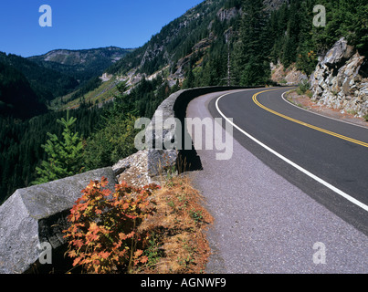 Straße durch STEVEN S CANYON ins Paradies in "Mount Rainier National Park" im Sommer "Washington State" USA Stockfoto