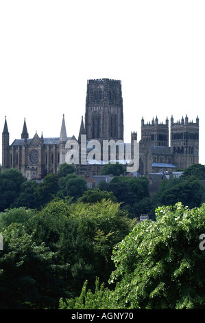 Durham Kathedrale von den North East England Vereinigtes Königreich UK Großbritannien GB Europe Bäumen arborial grünen Stockfoto