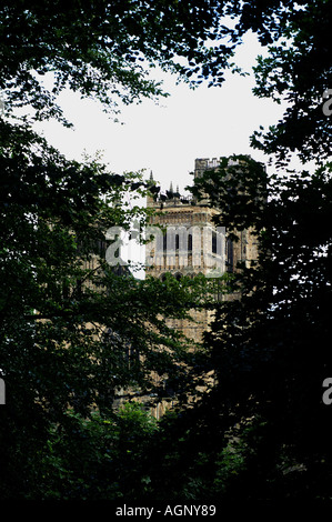 Die Westfassade durch die Bäume Durham Kathedrale England Großbritannien Großbritannien Großbritannien GB Europa Stockfoto