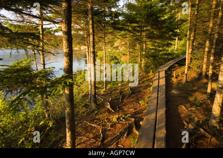 Ein Holzsteg im Acadia National Park Maine USA Stockfoto