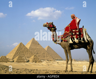 Pyramiden, Gizeh, Ägypten, Nordafrika, mit Kamel und Führer, UAR Stockfoto