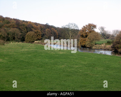 Hopwas Wald und der Fluss Tame in der Nähe von Tamworth Stockfoto