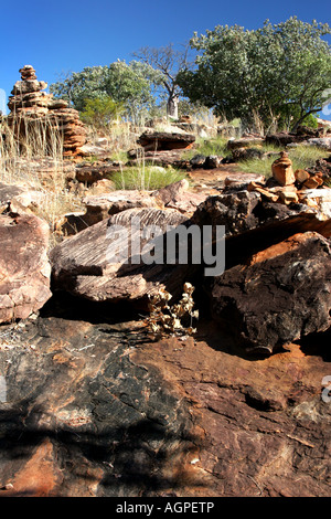 Sandstein, Spinifex Gras- und Boab Baum Landschaft, Manning Gorge Falls, Outback Westaustraliens Stockfoto