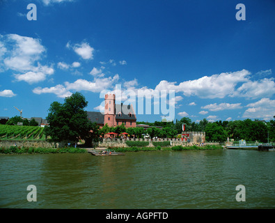 Burg Crass / Eltville / Burg Crass Stockfoto