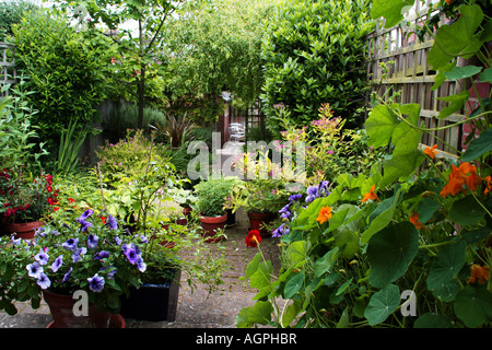 Kleine Stadt Garten im späten Frühjahr / Anfang Sommer Stockfoto