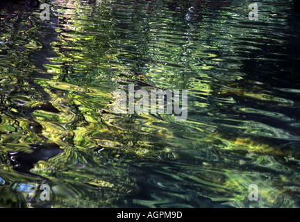 Wangi Falls kleiner Strom von klarem Wasser fließenden Northern Territory NT Australien OZ Aussie NT34 9a Stockfoto