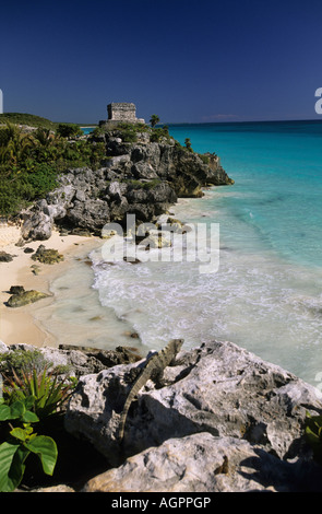 Mexiko, Tulum, Maya-Ruinen am Strand der Karibik mit Leguan im Vordergrund. Stockfoto