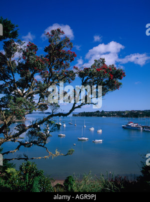 Bucht der Inseln Paihia Northland Nordinsel Neuseeland Stockfoto