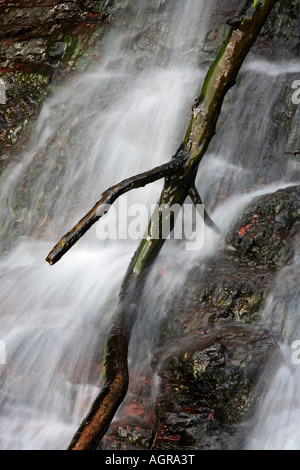 Wasserfall auf Fan Nedd Brecon Beacons Wales UK Stockfoto