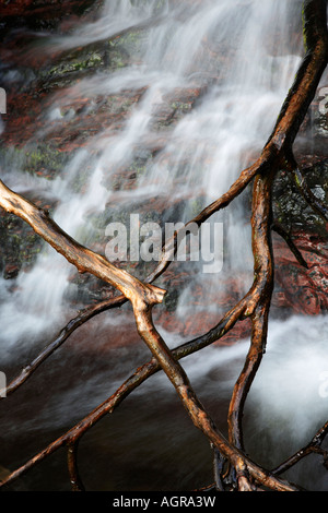 Wasserfall auf Fan Nedd Brecon Beacons Wales UK Stockfoto