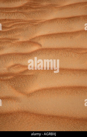Muster im Sand Düne in der Nähe von Al Ain, Vereinigte Arabische Emirate VAE Stockfoto