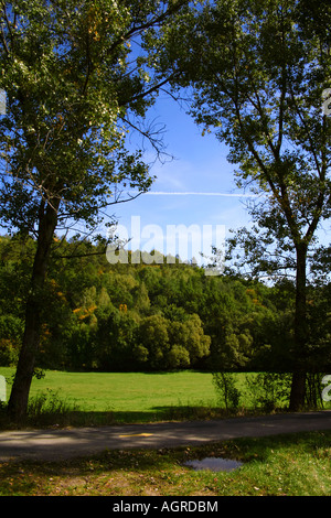Malerische Landschaft mit üppigen grünen Bäumen, die einen bewaldeten Hügel unter einem klaren blauen Himmel umgeben und durch hohe Äste betrachtet werden. Stockfoto