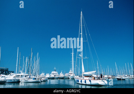 Segelboote Stockfoto