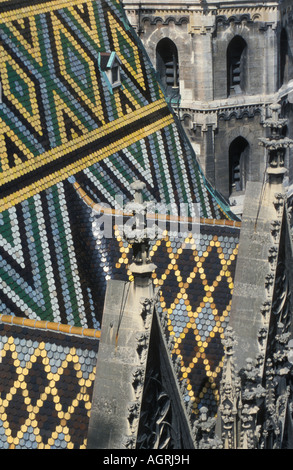 Detail des Daches der Stephansdom in Wien Stockfoto