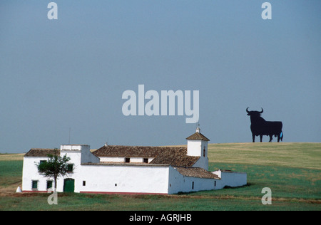 Haus und Osborne Stier Stockfoto