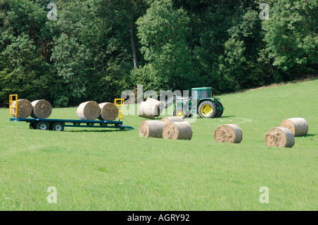 Heuballen auf einen Anhänger geladen wird gerollt Stockfoto