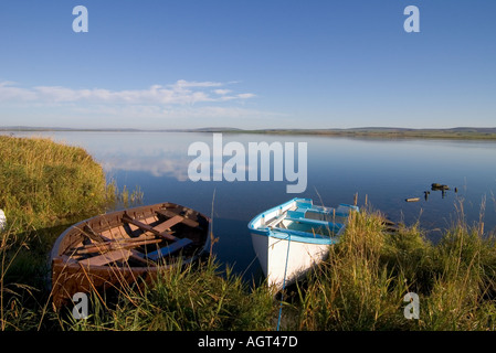 Dh Loch von Harray STENNESS ORKNEY Fischerboote Strand auf grasigen Ufer Boot ruhig Schottland Stockfoto