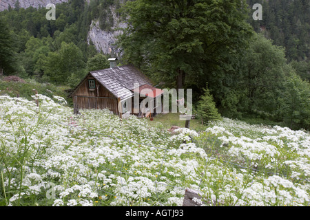 Holzhütte auf Salzberg Berg. Ortschaft Hallstatt, Salzkammergut, Österreich. Stockfoto