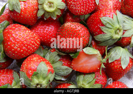 SSK79557 Fruit fresh red strawberries Stockfoto