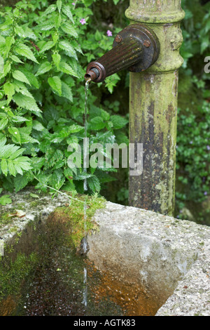 Quelle des Trinkwassers in Hallstatt Dorf. Salzkammergut. Österreich. Stockfoto