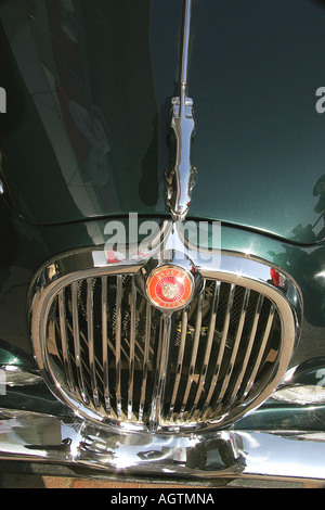 Oldtimer-Emblem und Motorhaube von 1964 Jaguar Stockfoto