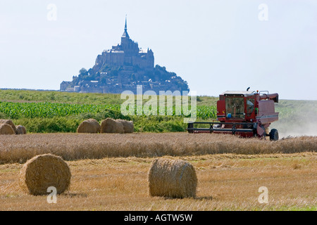 Beim Ernten von Weizen mit Le Mont Saint Michel im Hintergrund in der Region Basse-Normandie-Frankreich Stockfoto