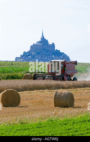 Beim Ernten von Weizen mit Le Mont Saint Michel im Hintergrund in der Region Basse-Normandie-Frankreich Stockfoto