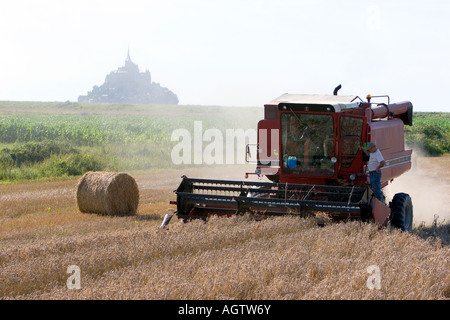 Beim Ernten von Weizen mit Le Mont Saint Michel im Hintergrund in der Region Basse-Normandie-Frankreich Stockfoto